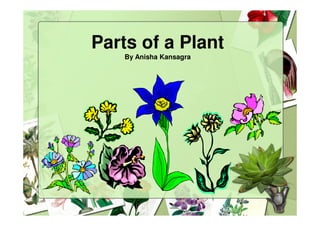 Parts of a Plant
    By Anisha Kansagra
 