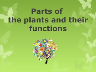 Parts of
the plants and their
functions

 