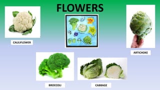 Educational content about edible plant parts
