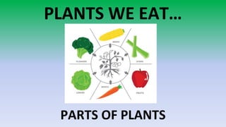 PLANTS WE EAT…
PARTS OF PLANTS
 