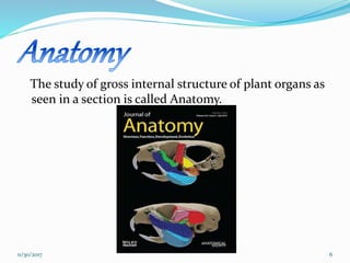 Parts of pure botany. | PPTX