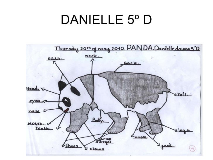Parts of the body