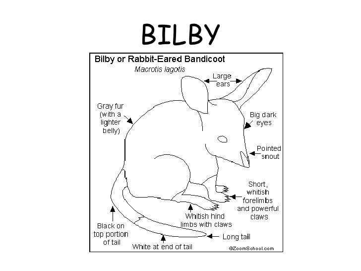 Parts of the body of Australian animals