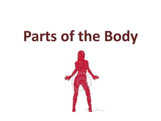 Parts of the Body
 