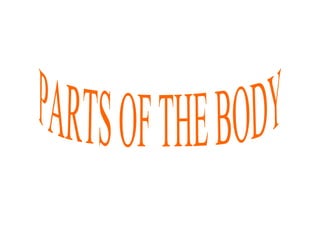 PARTS OF THE BODY 