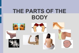 THE PARTS OF THE
      BODY
 