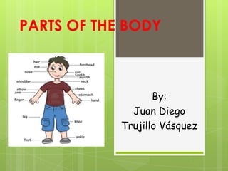 PARTS OF THE BODY

By:
Juan Diego
Trujillo Vásquez

 