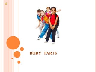 BODY PARTS

 