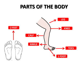 Parts of the body | PPT