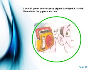 Parts of the body | PPT