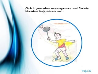 Parts of the body | PPT