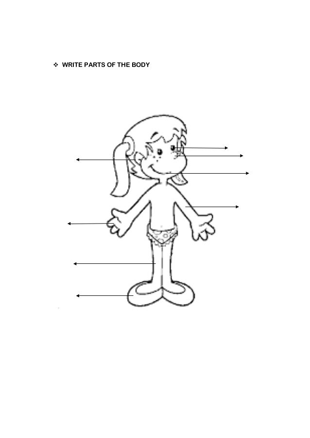 Label body parts clipart black and white