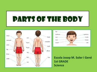 Parts of the body
Escola Josep M. Soler i Gené
1st GRADE
Science
 