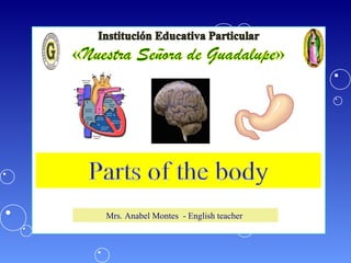 Classroom
Objects
Mrs. Anabel Montes - English teacher
http://
 