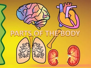 REVIEW: PARTS OF THE BODY