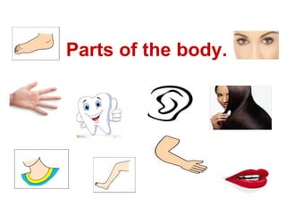 Parts of the body.
 