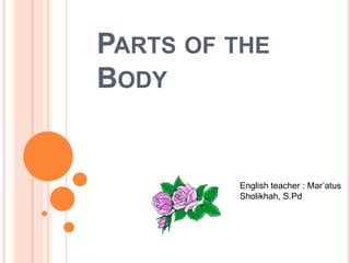 PARTS OF THE
BODY


         English teacher : Mar’atus
         Sholikhah, S.Pd
 