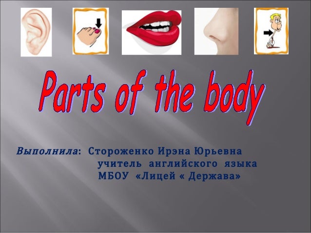 конспект урока английского 3 класс