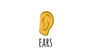 ears
 