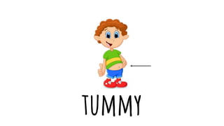 tummy
 