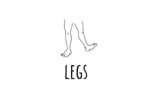 legs
 