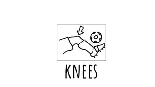 knees
 