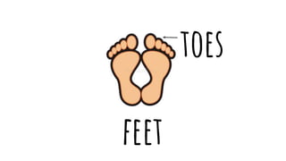 feet
toes
 