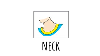 neck
 