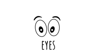 eyes
 