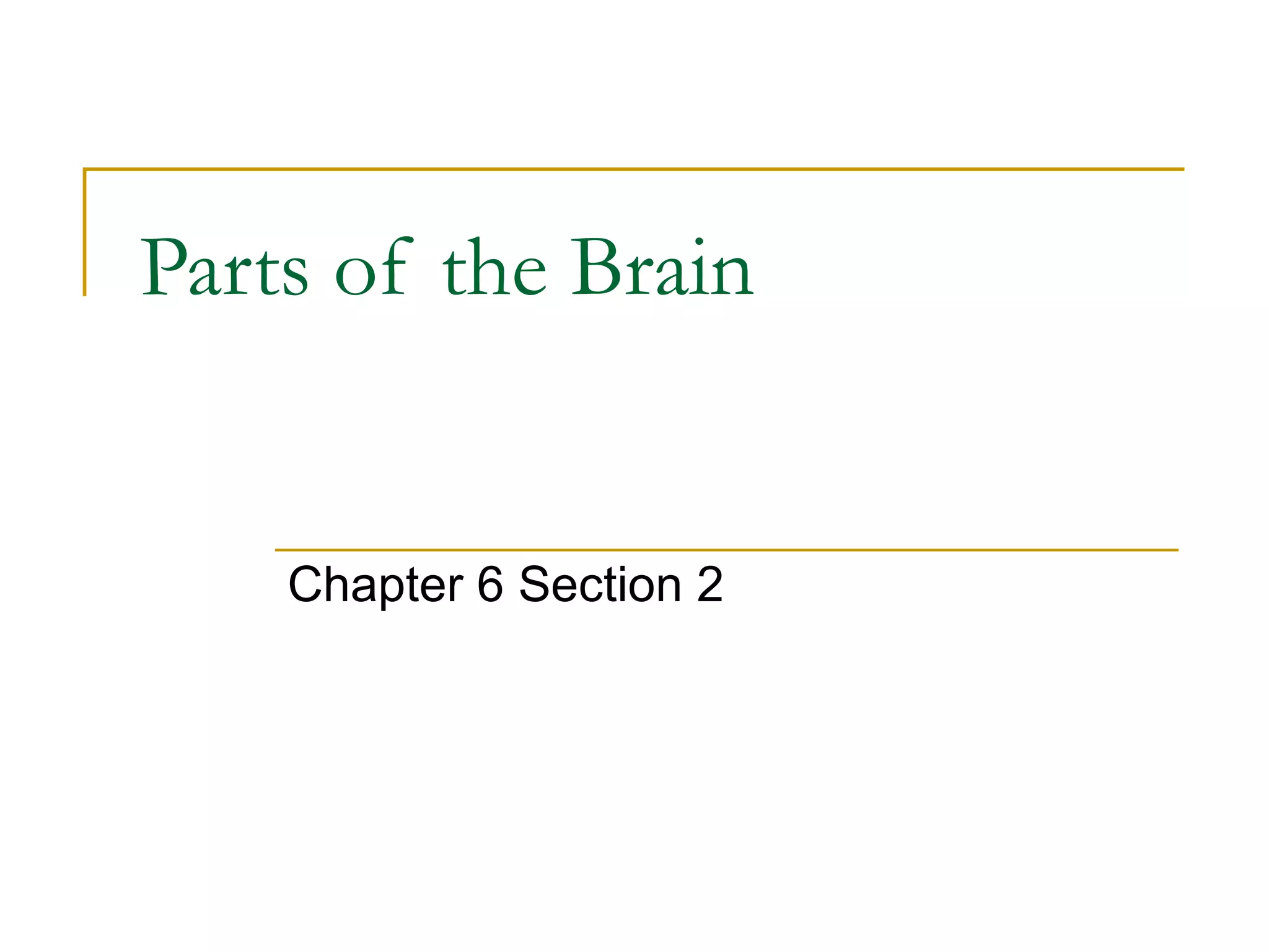 Parts of the brain | PPT
