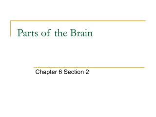 Parts of the Brain Chapter 6 Section 2 