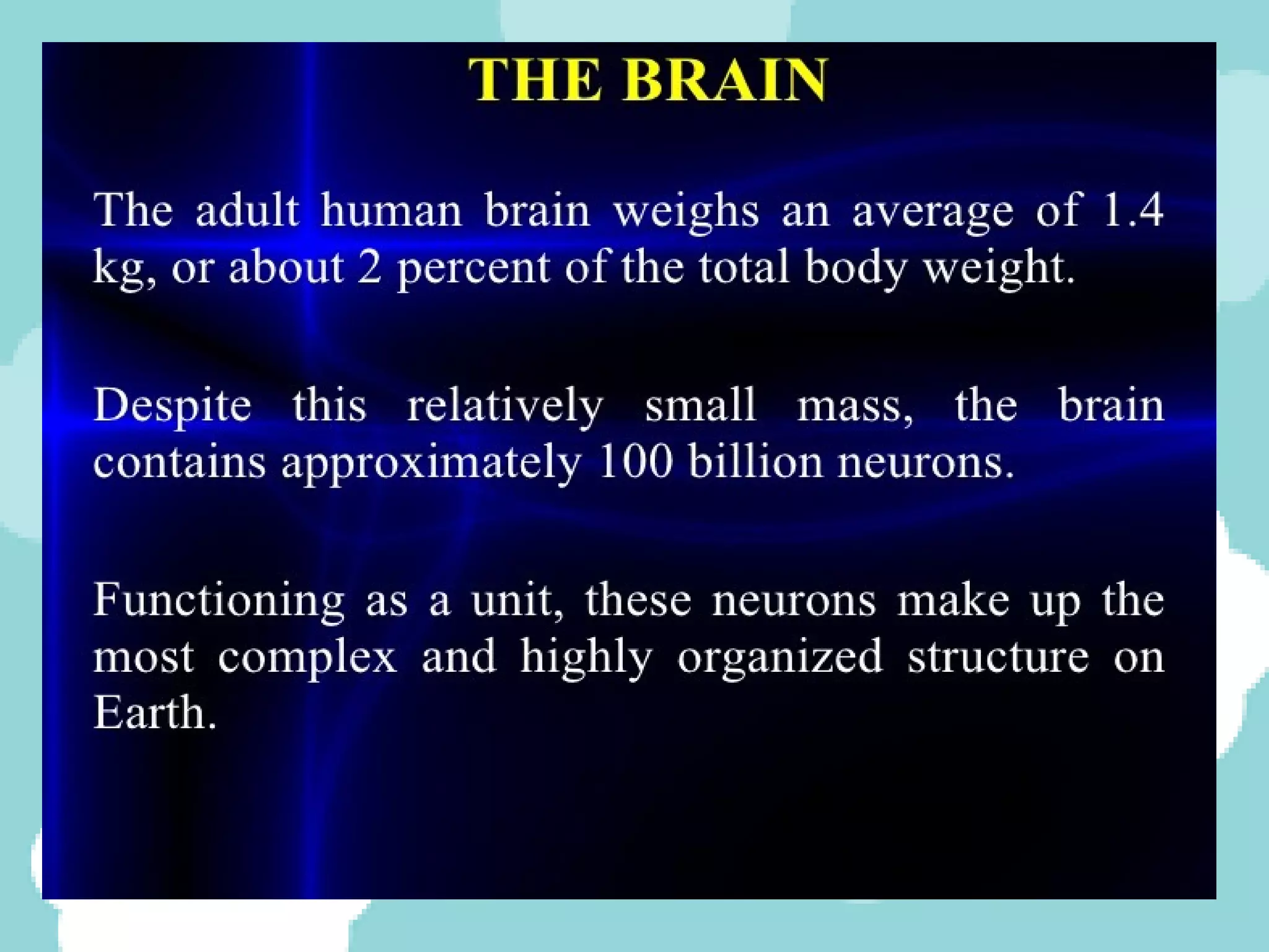 Parts of the brain | PPT