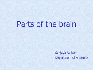 Parts of the brain
Sanjaya Adikari
Department of Anatomy
 