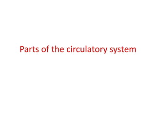 Parts of the circulatory system
 