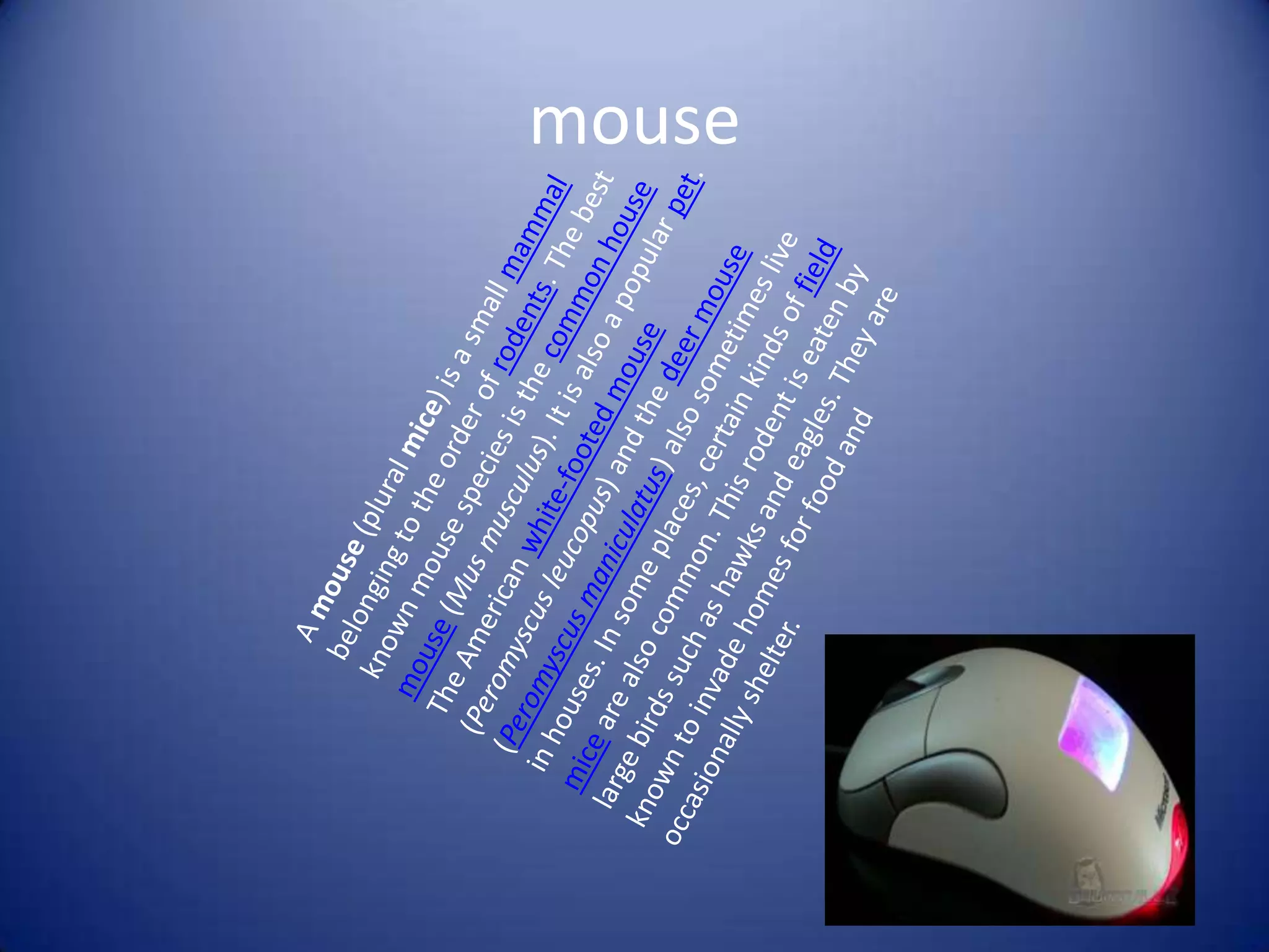 mouseA mouse (plural mice) is a small mammal belonging to the order of rodents. The best known mouse species is the common house mouse (Musmusculus). It is also a popular pet. The American white-footed mouse (Peromyscusleucopus) and the deer mouse (Peromyscusmaniculatus) also sometimes live in houses. In some places, certain kinds of field mice are also common. This rodent is eaten by large birds such as hawks and eagles. They are known to invade homes for food and occasionally shelter.