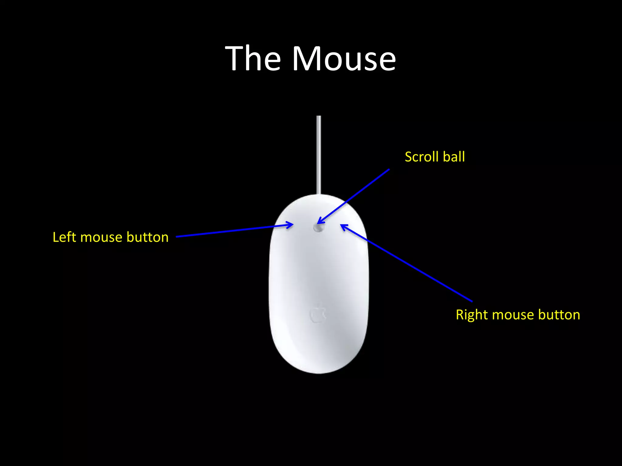 The Mouse
Scroll ball
Left mouse button
Right mouse button
 