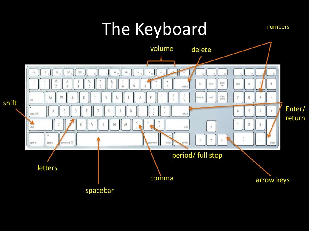 Basic Parts of the Computer (Kindergarten)