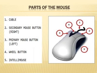 Parts of the computer (mouse and printer) | PPTX