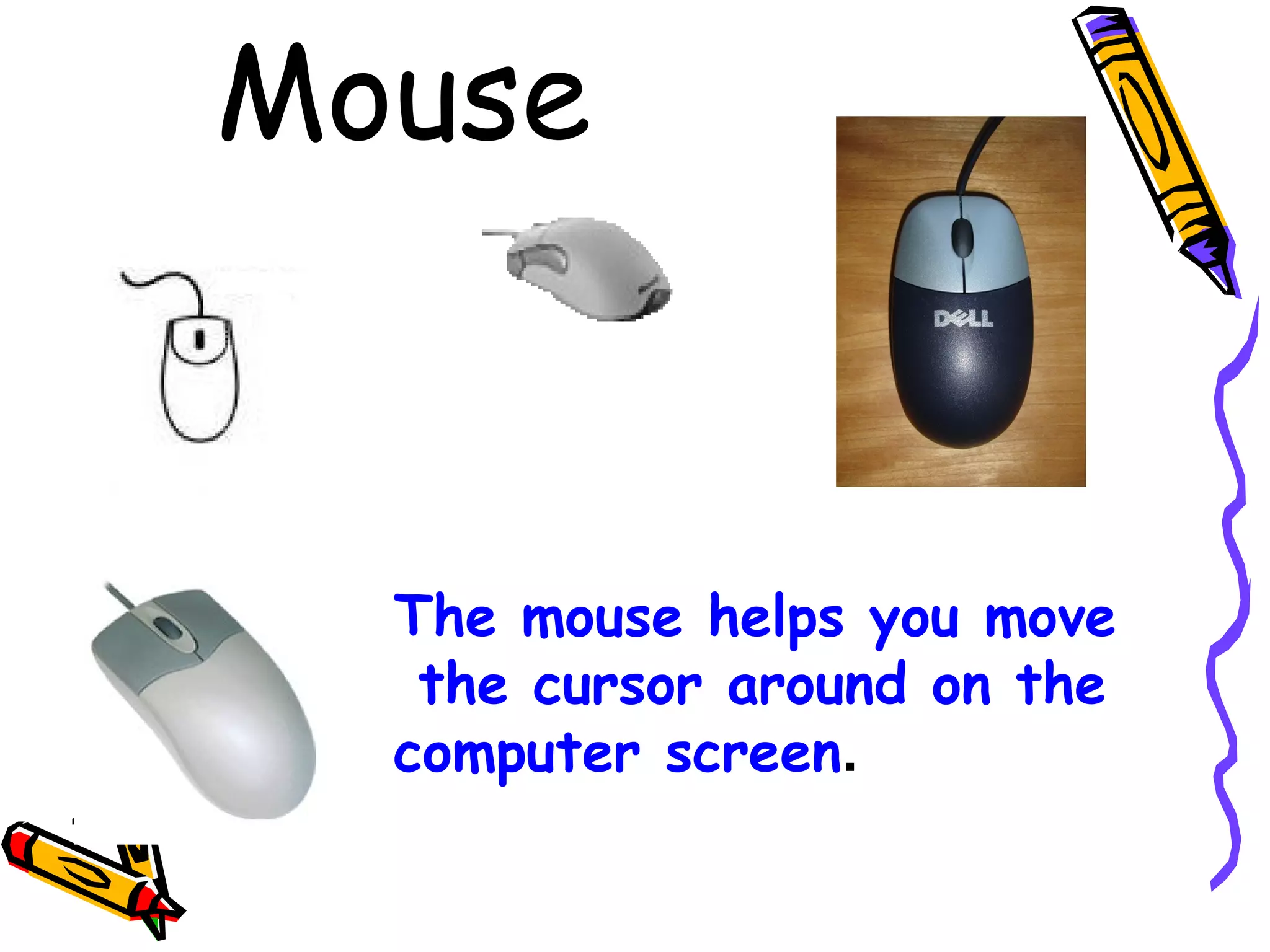 Mouse

The mouse helps you move
the cursor around on the
computer screen.

 