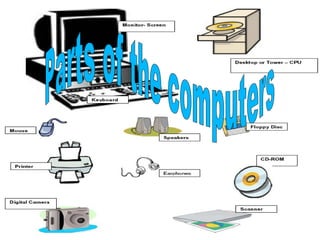 Parts of the computers   