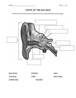Parts of the ear quiz<br />Write the name of the ear part in the box. Use the words at the bottom of the page.<br />Ear drumstirrupanvil<br />Cochleatubeear canal<br />Outer earHammer<br />