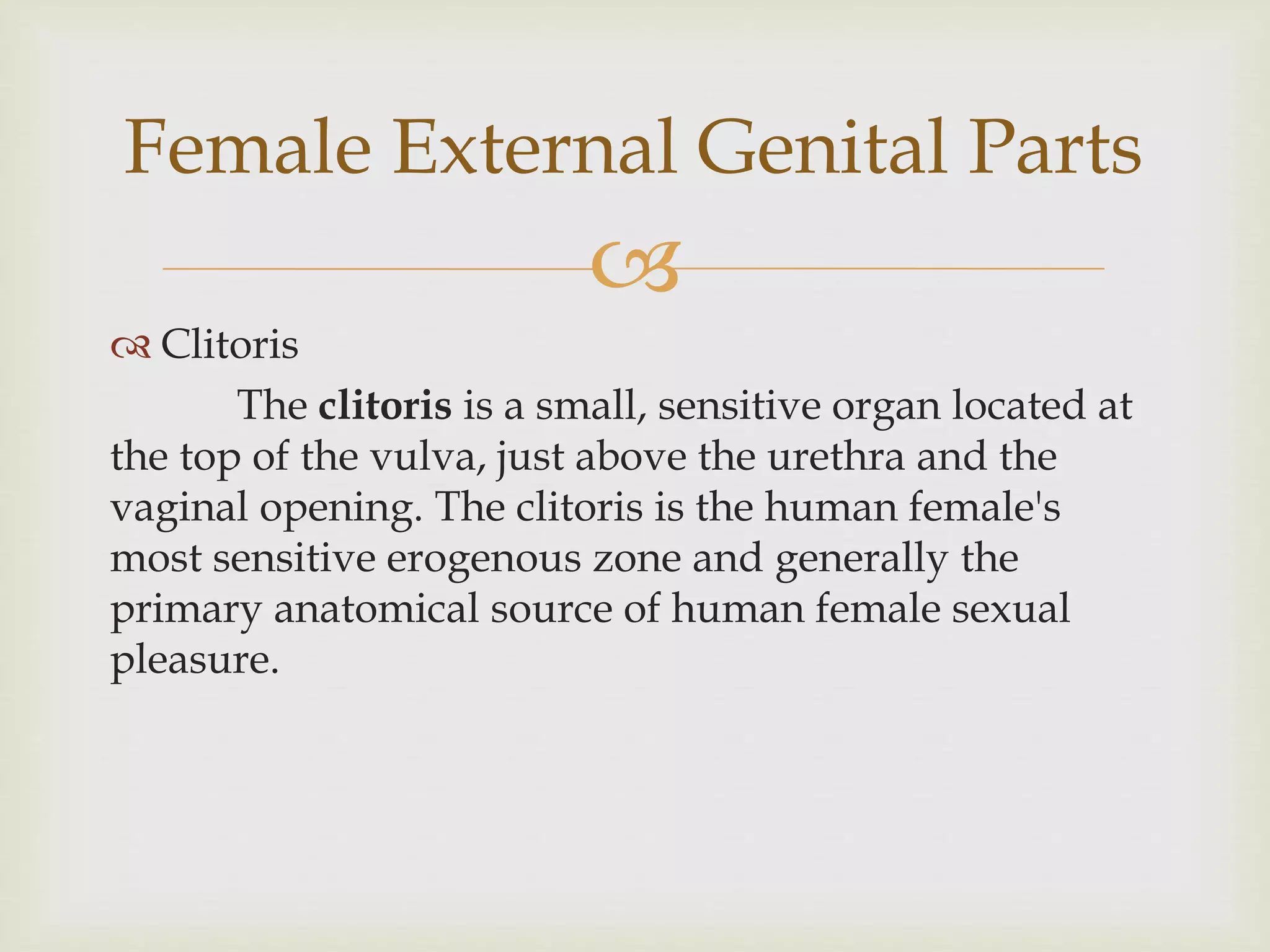 Parts of the female reprodutive system | PPTX
