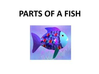 PARTS OF A FISH

 