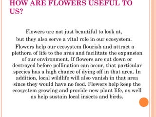 HOW ARE FLOWERS USEFUL TO
US?
Flowers are not just beautiful to look at,
but they also serve a vital role in our ecosystem.
Flowers help our ecosystem flourish and attract a
plethora of life to the area and facilitate the expansion
of our environment. If flowers are cut down or
destroyed before pollination can occur, that particular
species has a high chance of dying off in that area. In
addition, local wildlife will also vanish in that area
since they would have no food. Flowers help keep the
ecosystem growing and provide new plant life, as well
as help sustain local insects and birds.
 