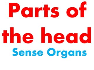 Parts of
the head
Sense Organs
 