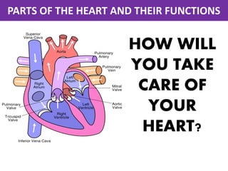 Parts of the heart and their functions | PDF