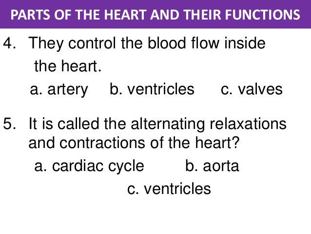 parts of the heart and their functions parts of a heart
