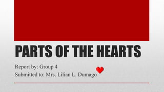 PARTS OF THE HEARTS
Report by: Group 4
Submitted to: Mrs. Lilian L. Dumago
 
