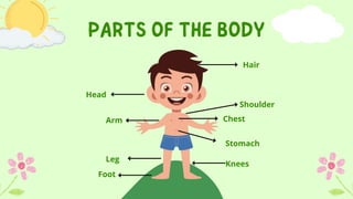 Basic Body Parts