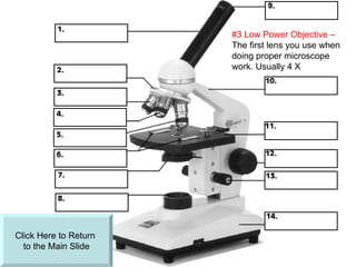 Click Here to Return  to the Main ݺߣ #3 Low Power Objective –  The first lens you use when doing proper microscope work. Usually 4 X 